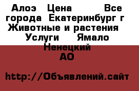 Алоэ › Цена ­ 150 - Все города, Екатеринбург г. Животные и растения » Услуги   . Ямало-Ненецкий АО